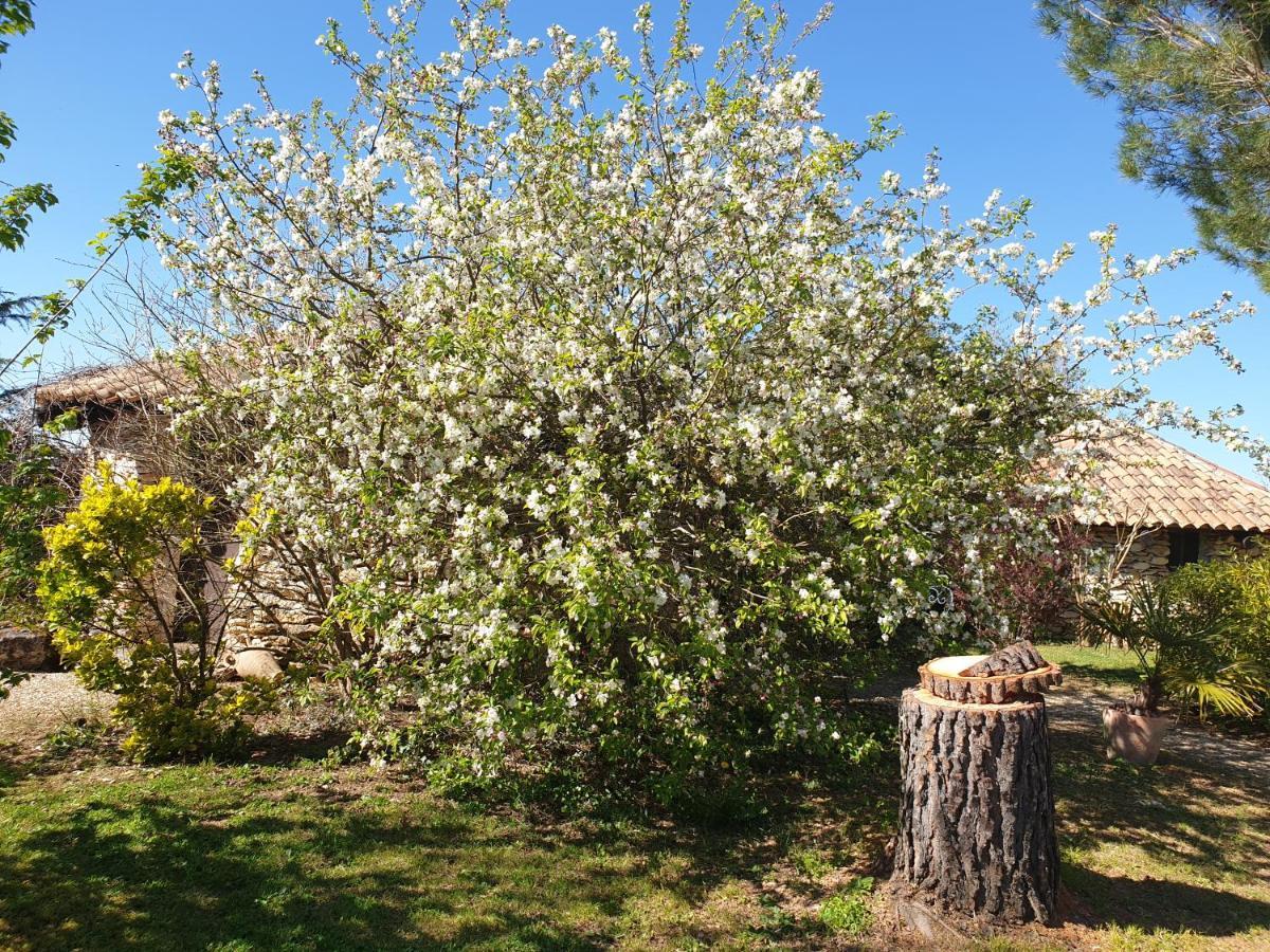 Le Clos d'Almide Monestier  Exterior foto